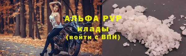 ПСИЛОЦИБИНОВЫЕ ГРИБЫ Новодвинск
