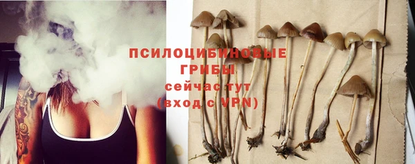 ПСИЛОЦИБИНОВЫЕ ГРИБЫ Новодвинск