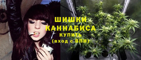 MDMA Premium VHQ Новозыбков