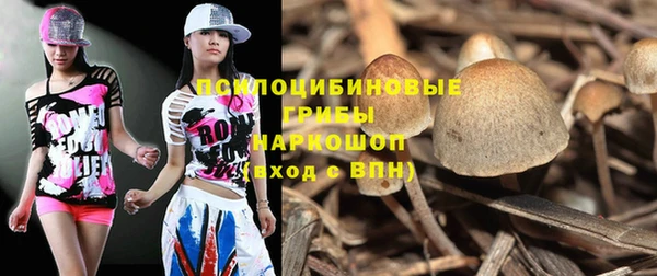 ПСИЛОЦИБИНОВЫЕ ГРИБЫ Новодвинск