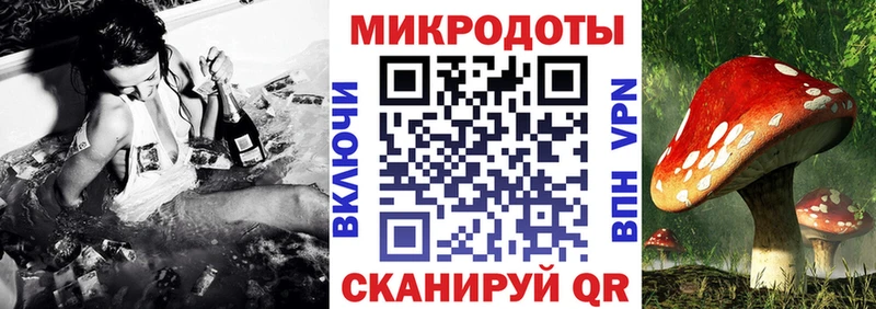 как найти закладки  Николаевск  Галлюциногенные грибы прущие грибы 